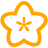 Květina